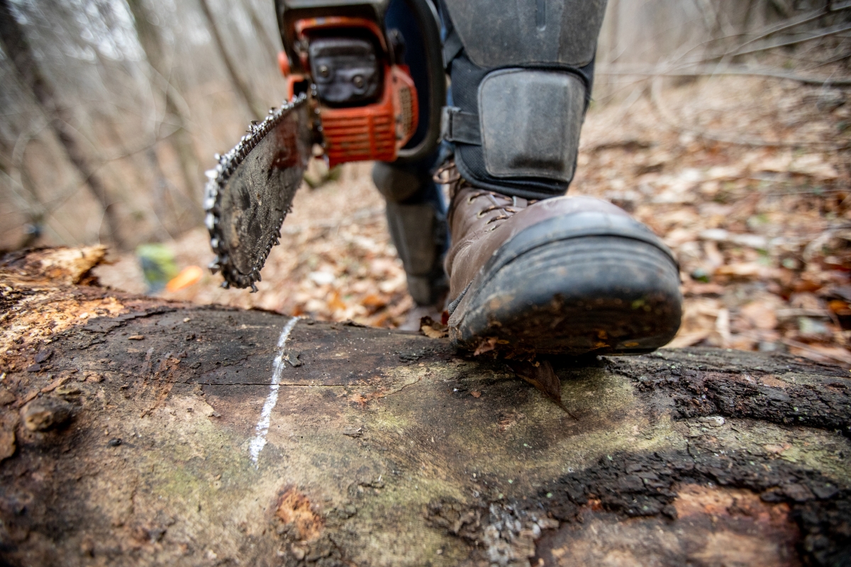 A person about to use a chainsaw to make a cut on a log.