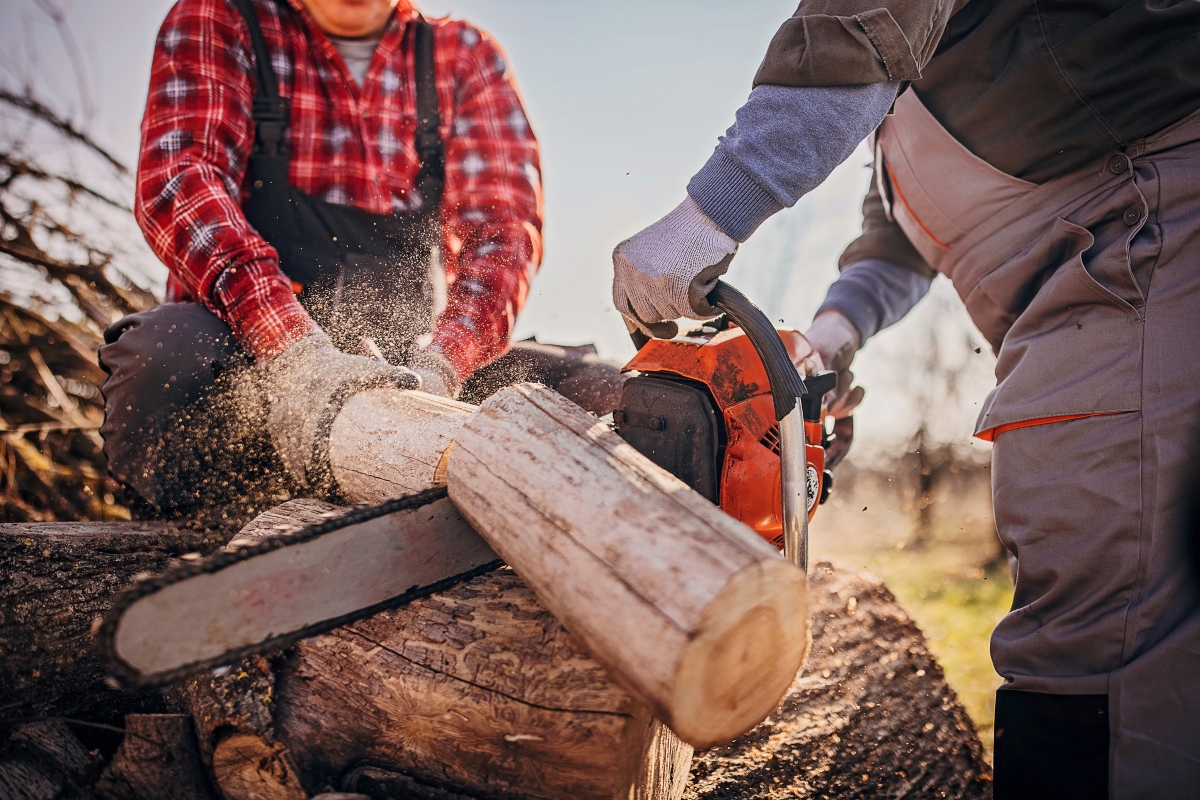 A person using a chainsaw on a log while another person is helping to hold the log in place.