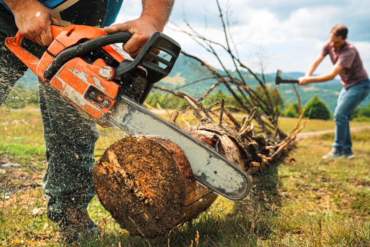 A person using a chainsaw in action on a large log.