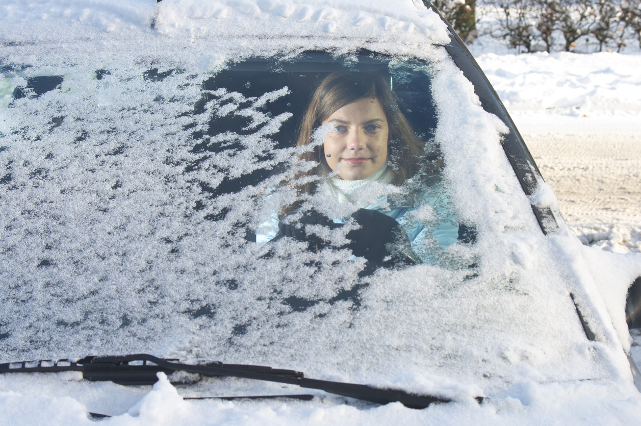 Search windshield ice cover, Page 3