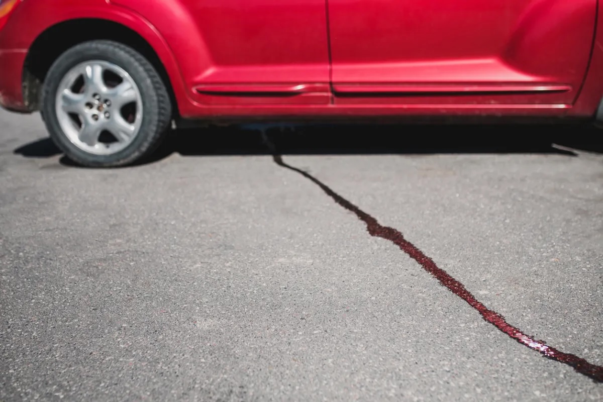 Driveway Cleaning: How to Remove Common Stains