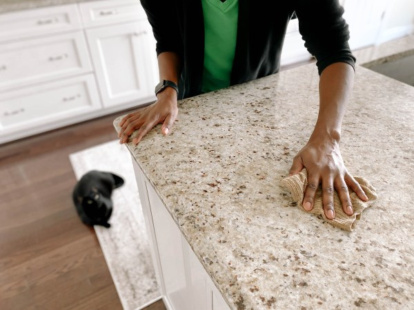 Woman wipes a granite countertop with a cloth as a cat looks on from the floor.