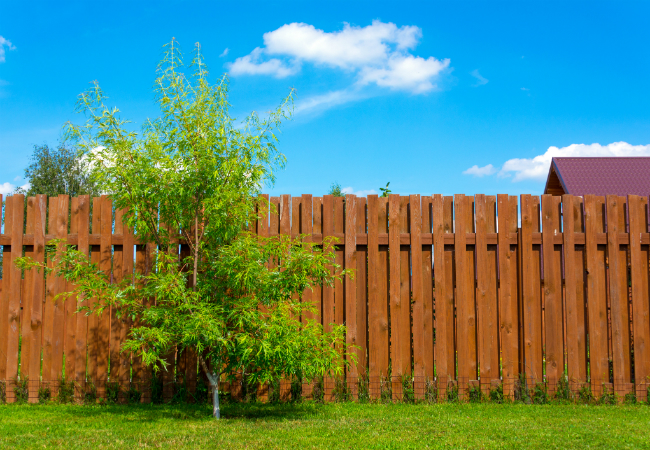 Fence Staining Nashville TN