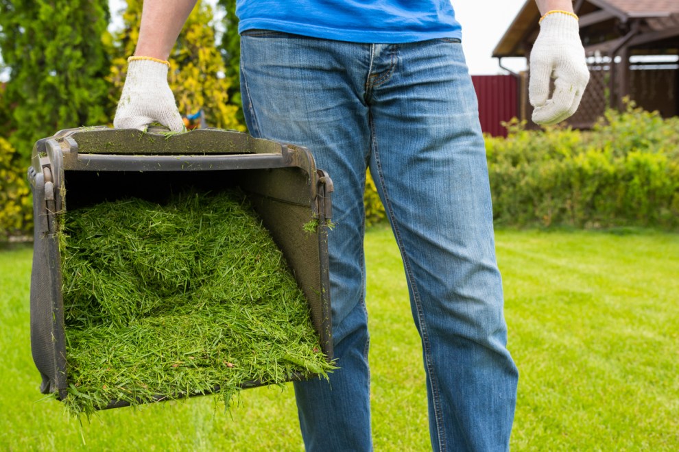 How to Mow a Lawn the Right Way — Advice From Bob Vila