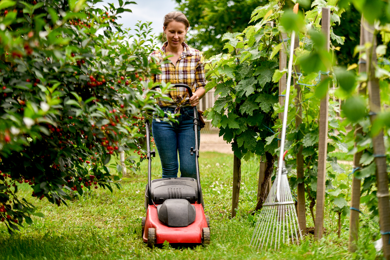 how to mow a lawn