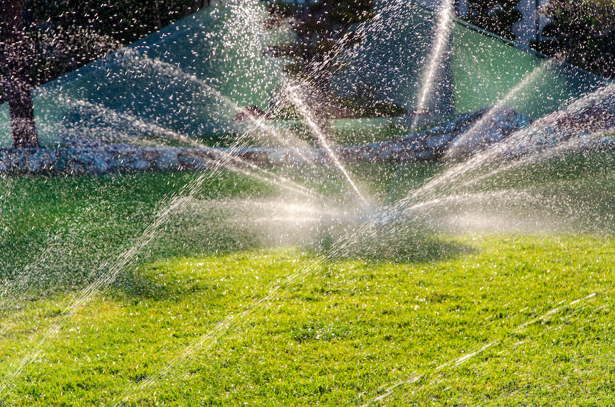 A sprinkler with multiple streams watering green grass.