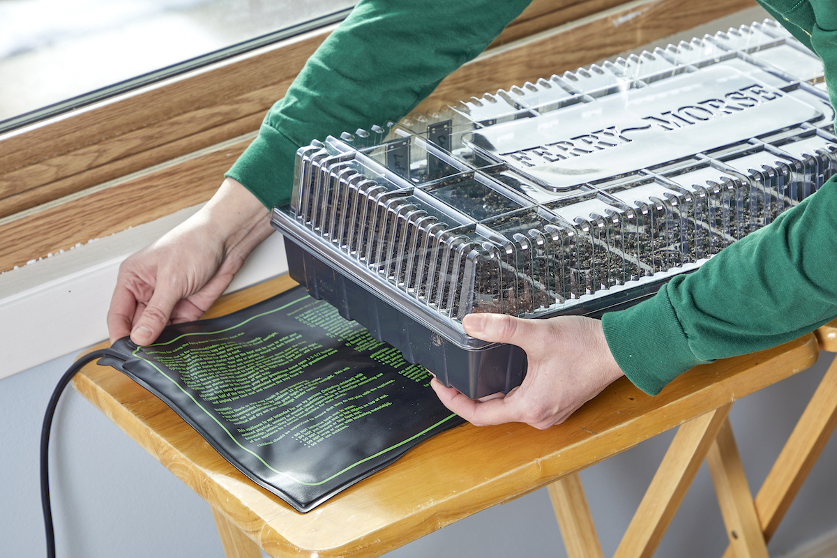 Woman slides a heat mat under a domed tray of seedlings by a sunny window.