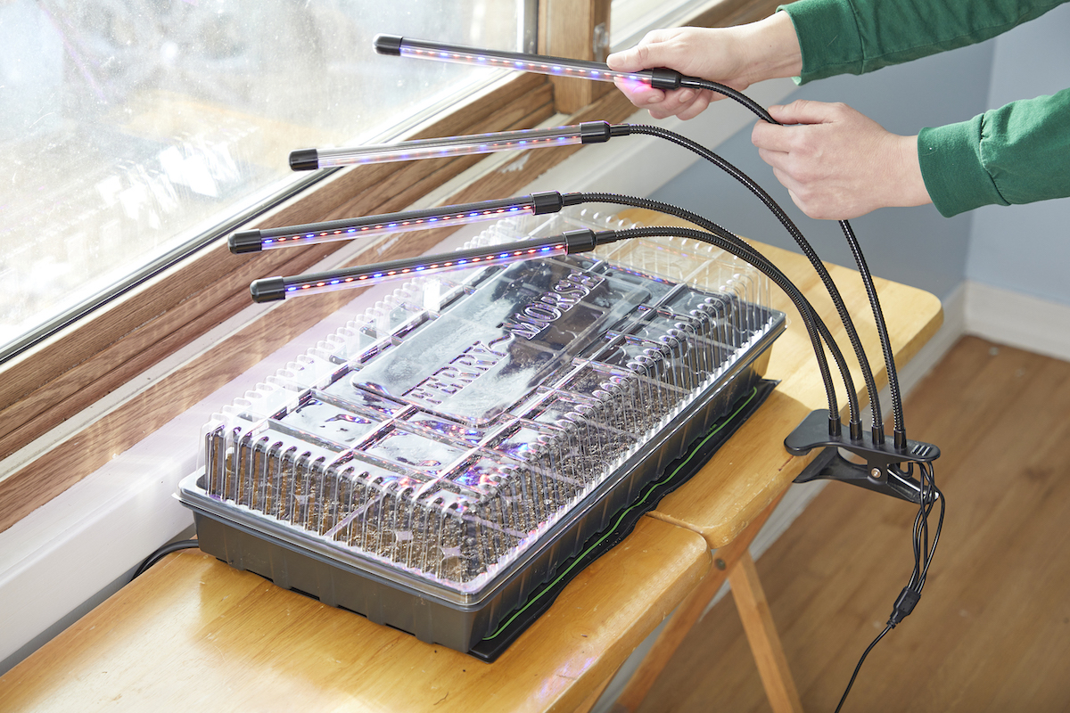 Woman clips a multi-armed grow light onto a table on which there's a seed-starting tray.