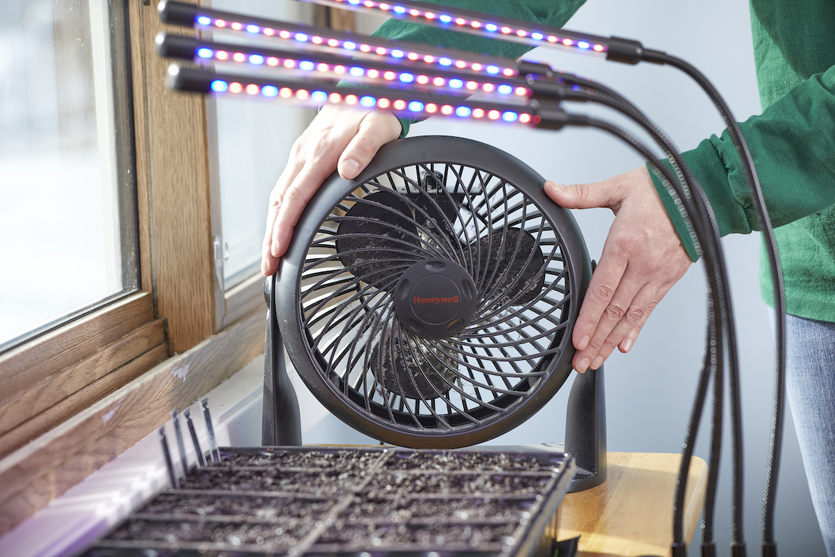 Woman places a fan near a seed starting tray, with grow lights set up overhead.