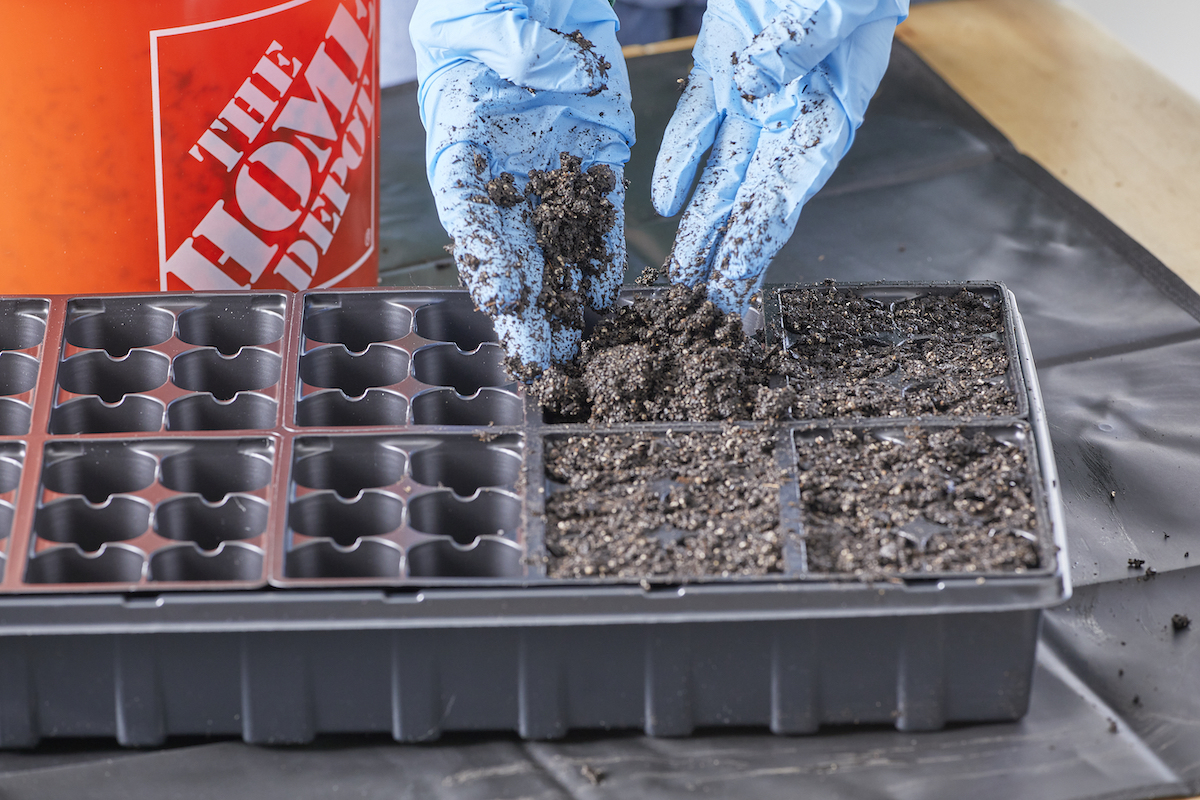 Person wearing gloves adds moist soil to black seed-starting cells.