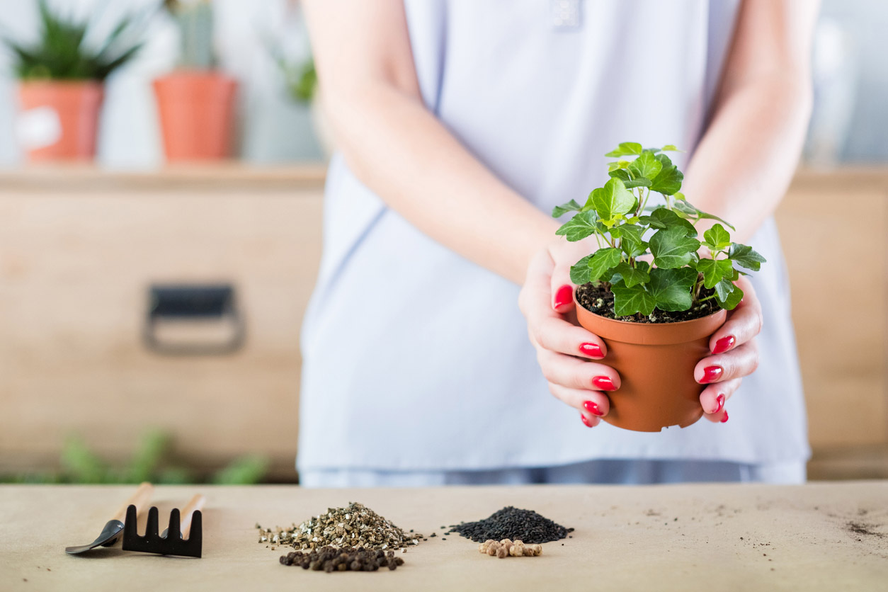 A person is holding a potted plant and different types of soil are separated into piles are on a table.