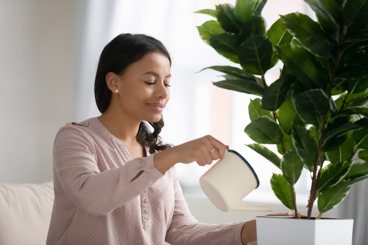 A woman is using a watering can to water an indoor plant.