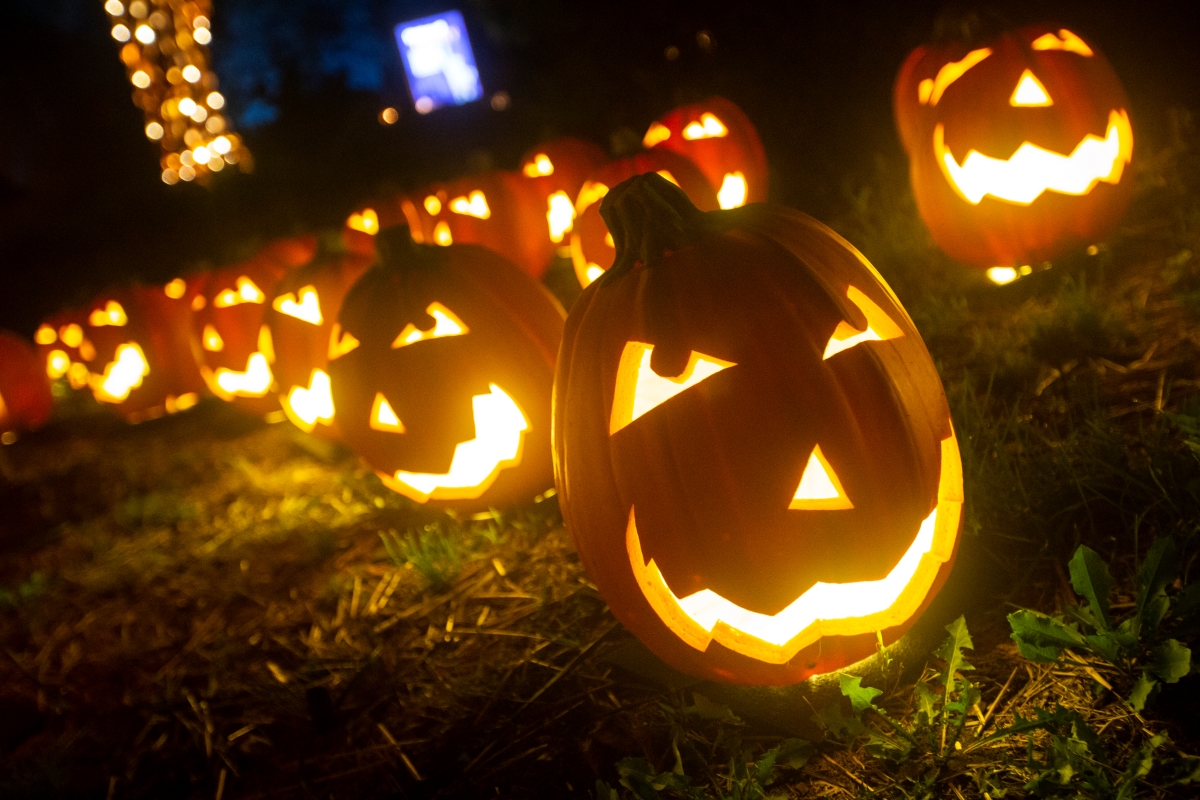 Lit carved pumpkins on grass