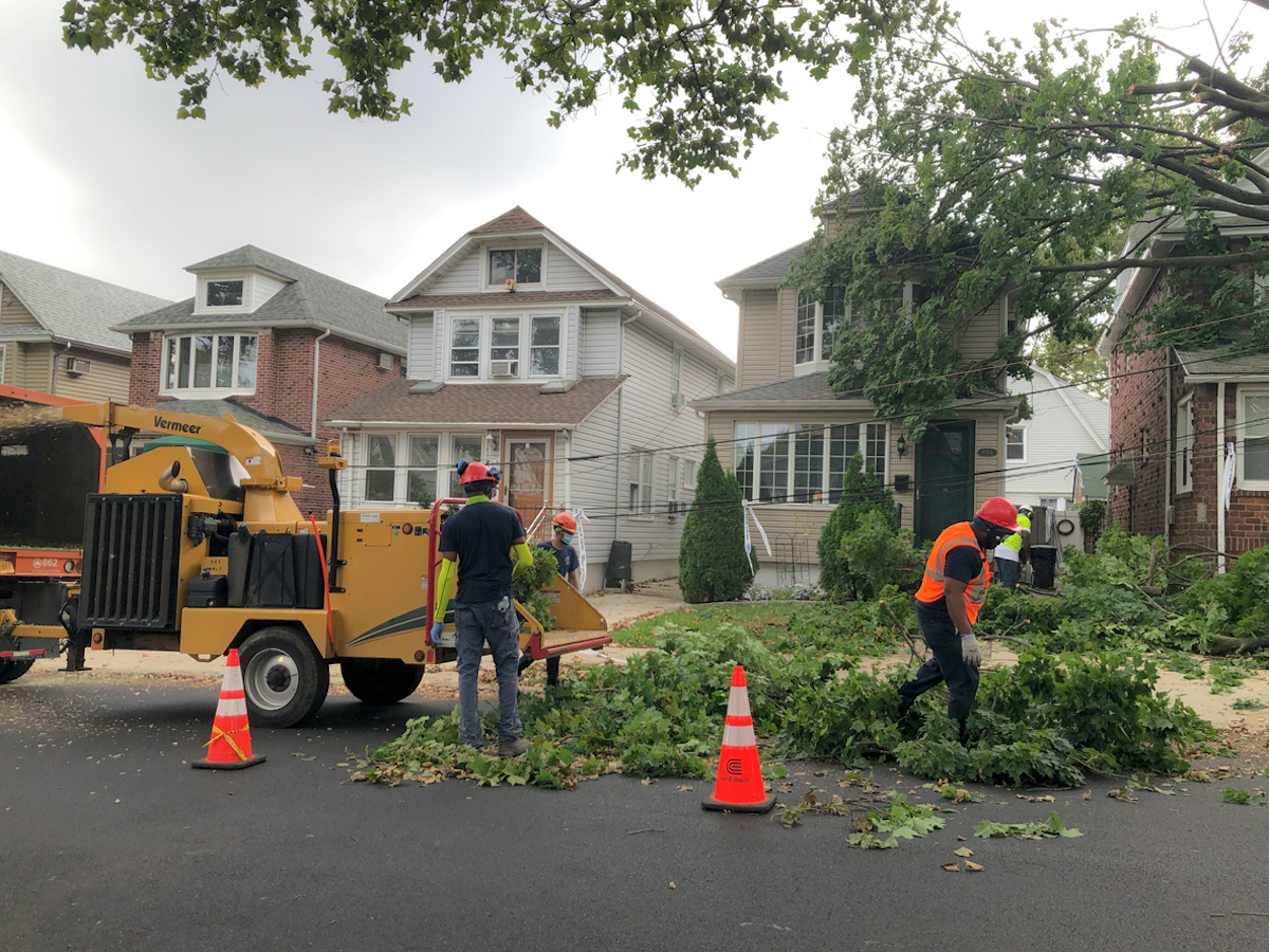 tree falls on house