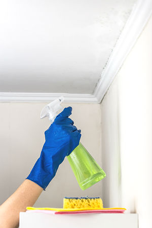 Person wearing rubber glove sprays a popcorn ceiling.