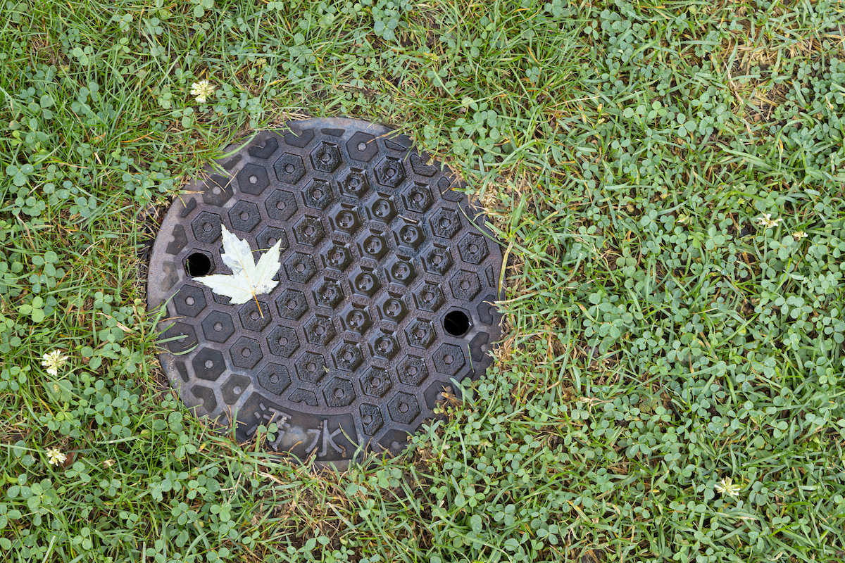 Metal sewer cover surrounded by green grass.