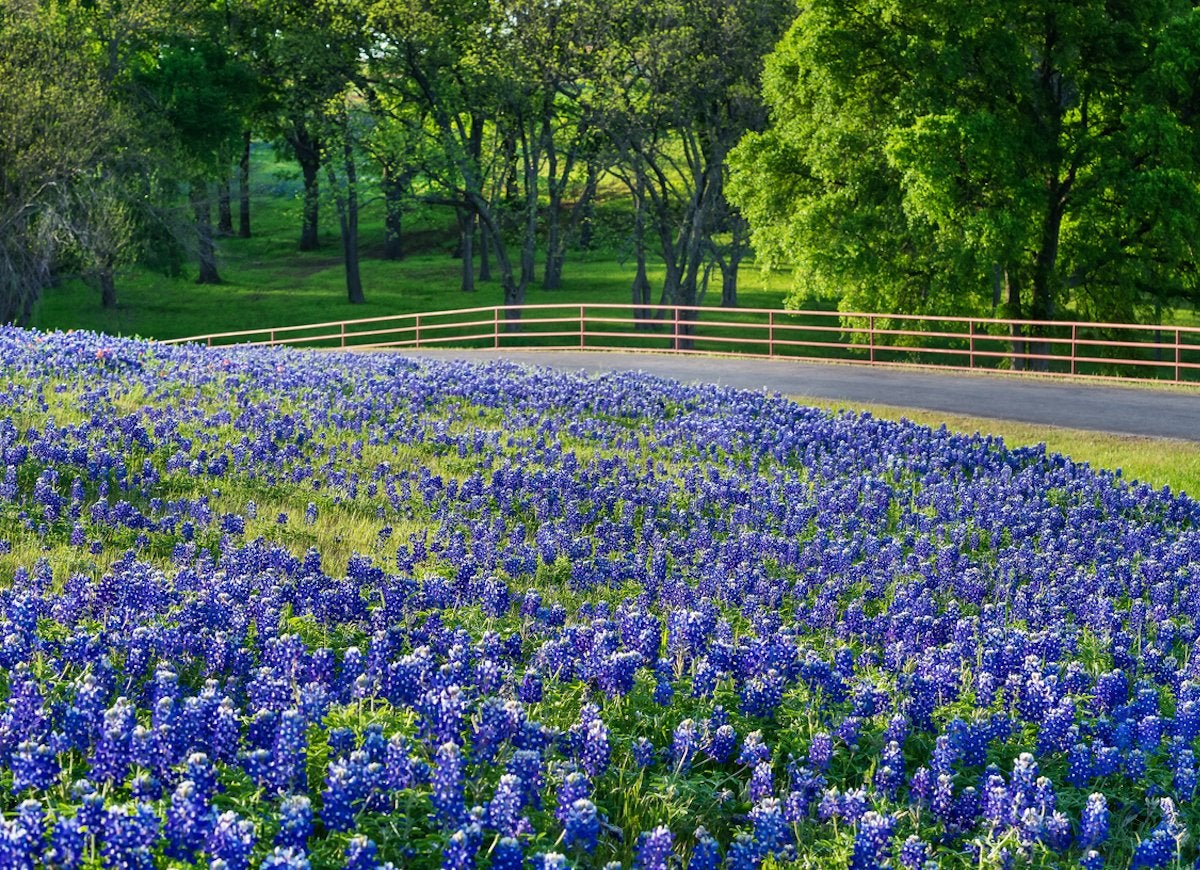 garden visit near me