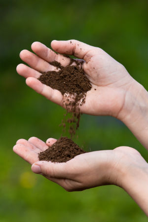 All You Need to Know About Loamy Soil