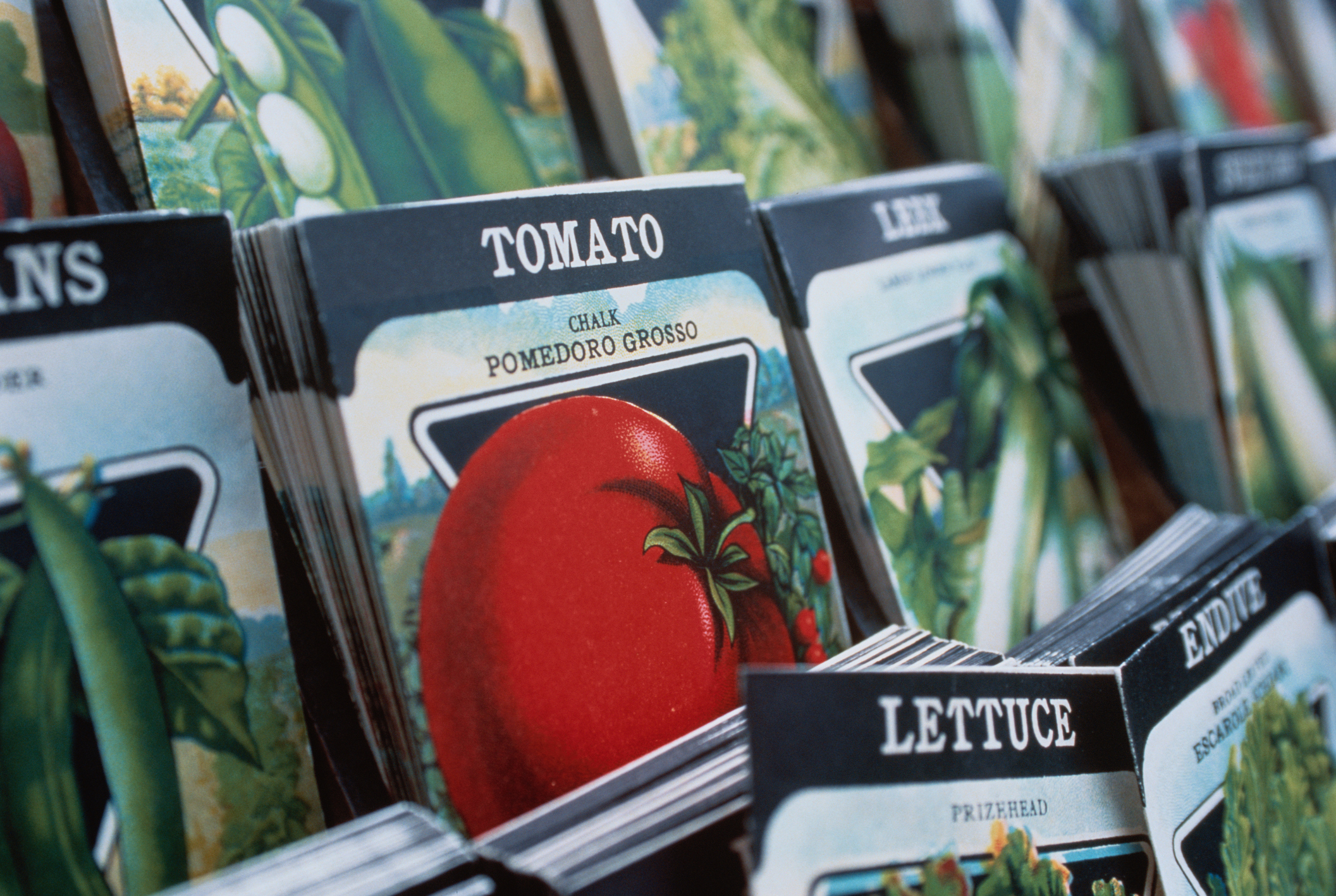 Leaned stacks of vegetable seed packets, including those for tomatoes, leeks, and lettuce, stand in rows on a display.