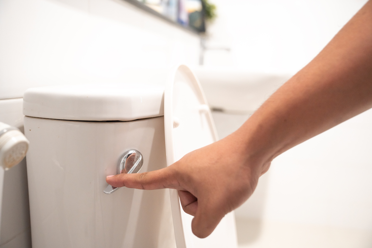 Close up of a person's hand flushing a white toilet.