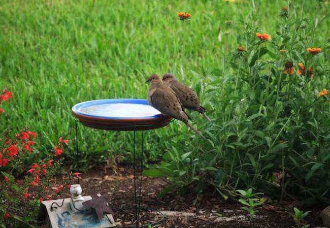 Wing It: 14 Approaches to a DIY Birdbath