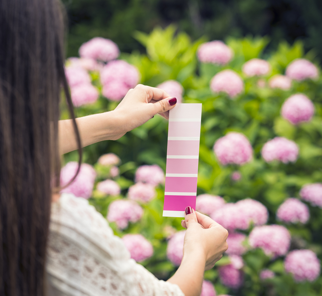 7 Effective Methods for Matching Paint