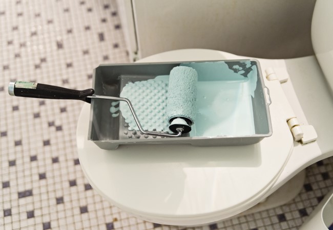 Paint tray and paint roller sitting on top of a closed toilet seat.