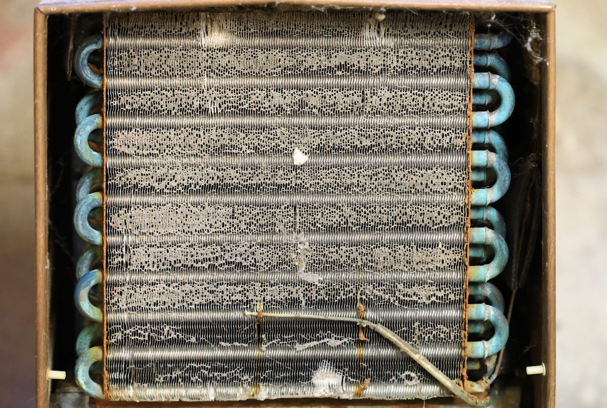 The blue condenser coils of a refrigerator are dusty and dirty.