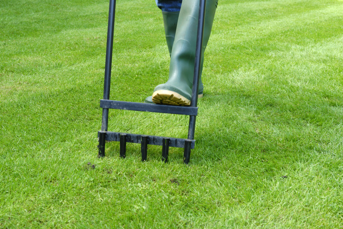 When to Aerate the Lawn? Solved!