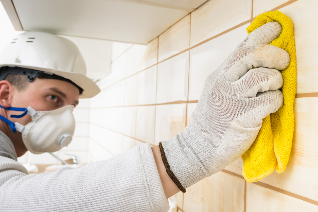 a worker grouting joints after laying ceramic tiles on the wall