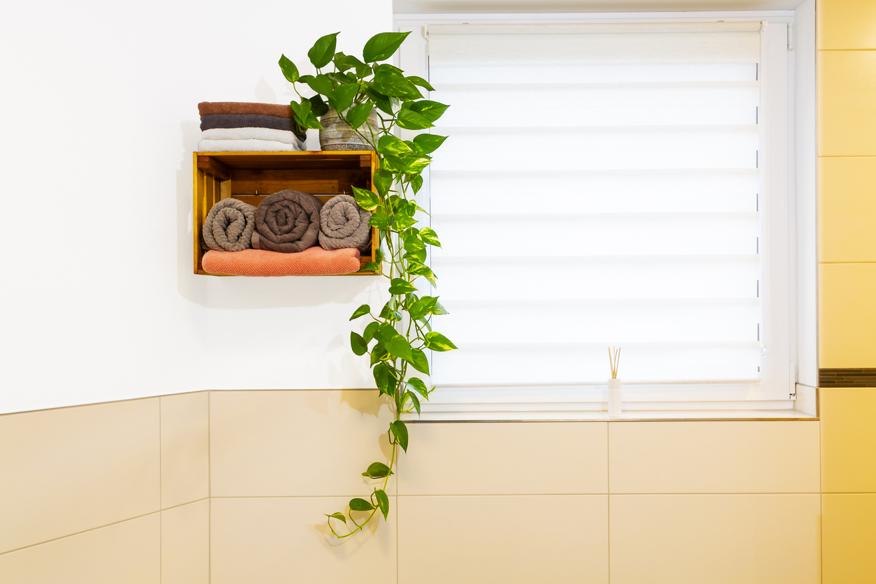 window in shower