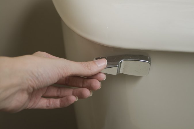 Hand shaking toilet flusher.