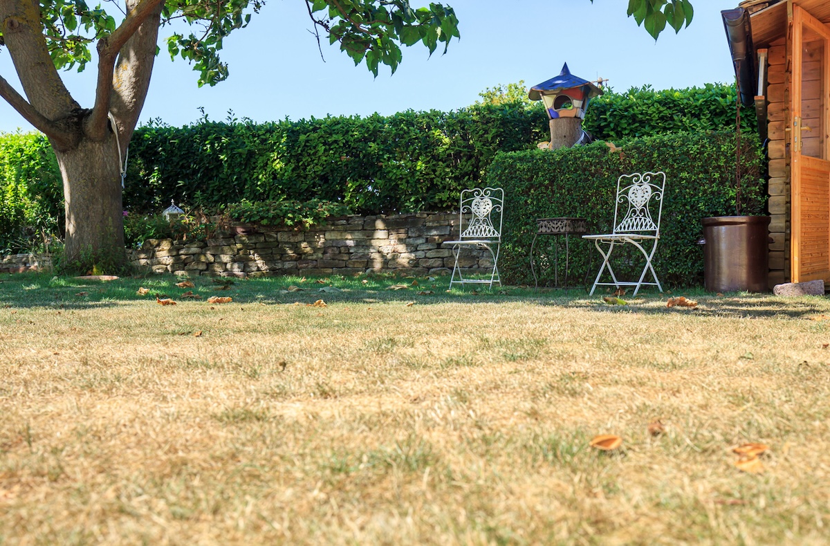 Backyard with lawn chairs and dry, dead grass.