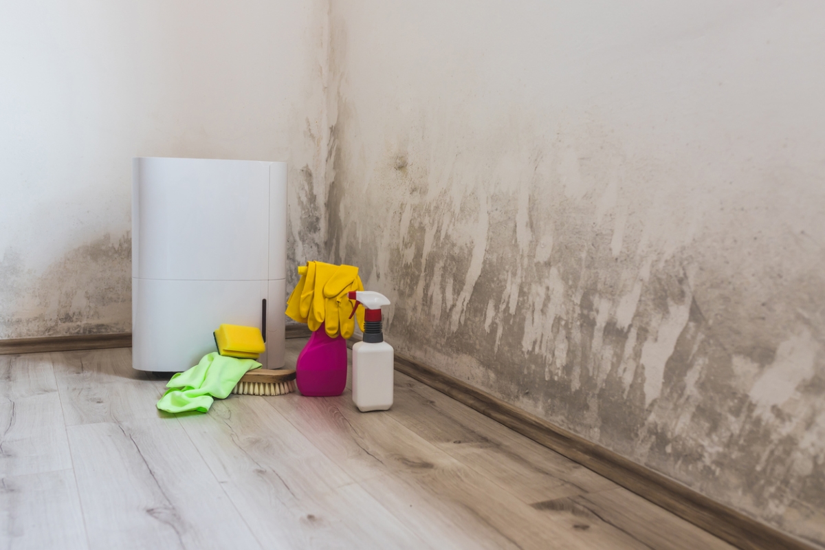 A dehumidifier and cleaning supplies gathered near wall with black mold.
