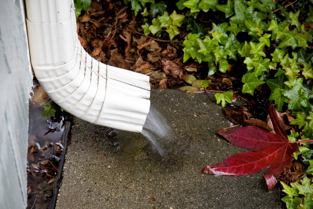 Water coming out of downspout.