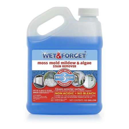  Bottle of Wet & Forget Moss Mold Mildew & Algae Stain Remover on white background