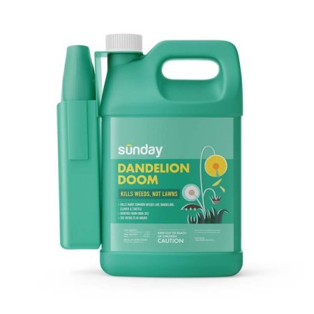  The Best Weed Killer Option: Sunday Dandelion Doom Herbicide