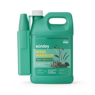 The Best Weed Killer Option: Sunday Weed Warrior Herbicide