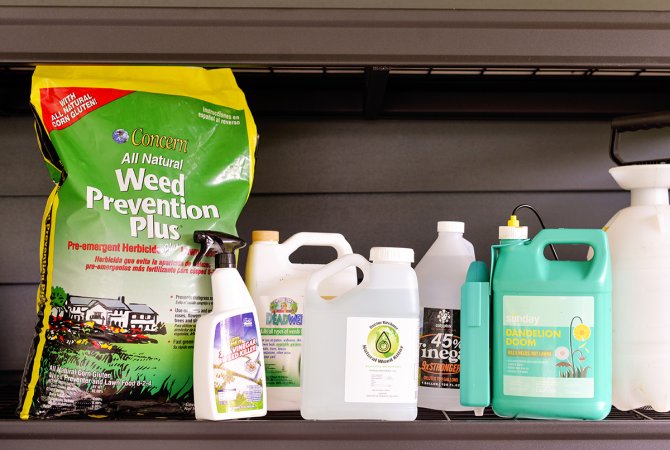 Seven of the best weed killers lined up in a garage