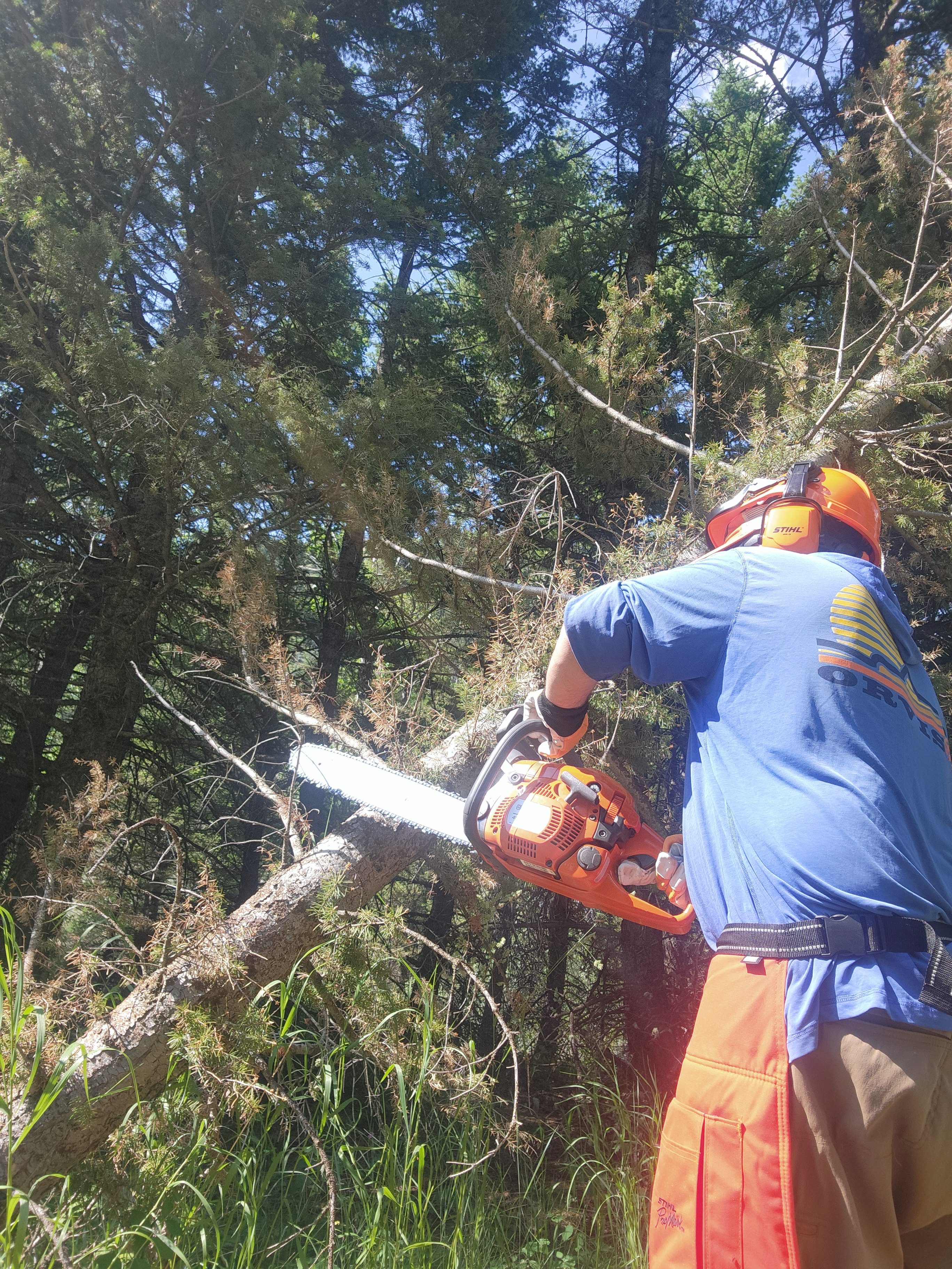 Man cutting through a tree branch with a chainsaw