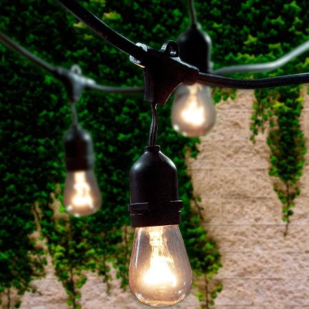  Lemontec Commercial Grade Outdoor String Lights against a garden wall