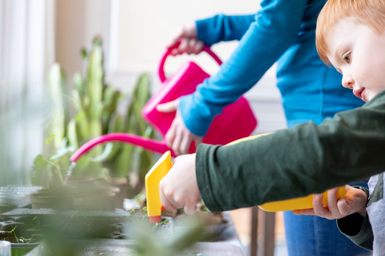 Indoor Gardening Tip: Water Consistently