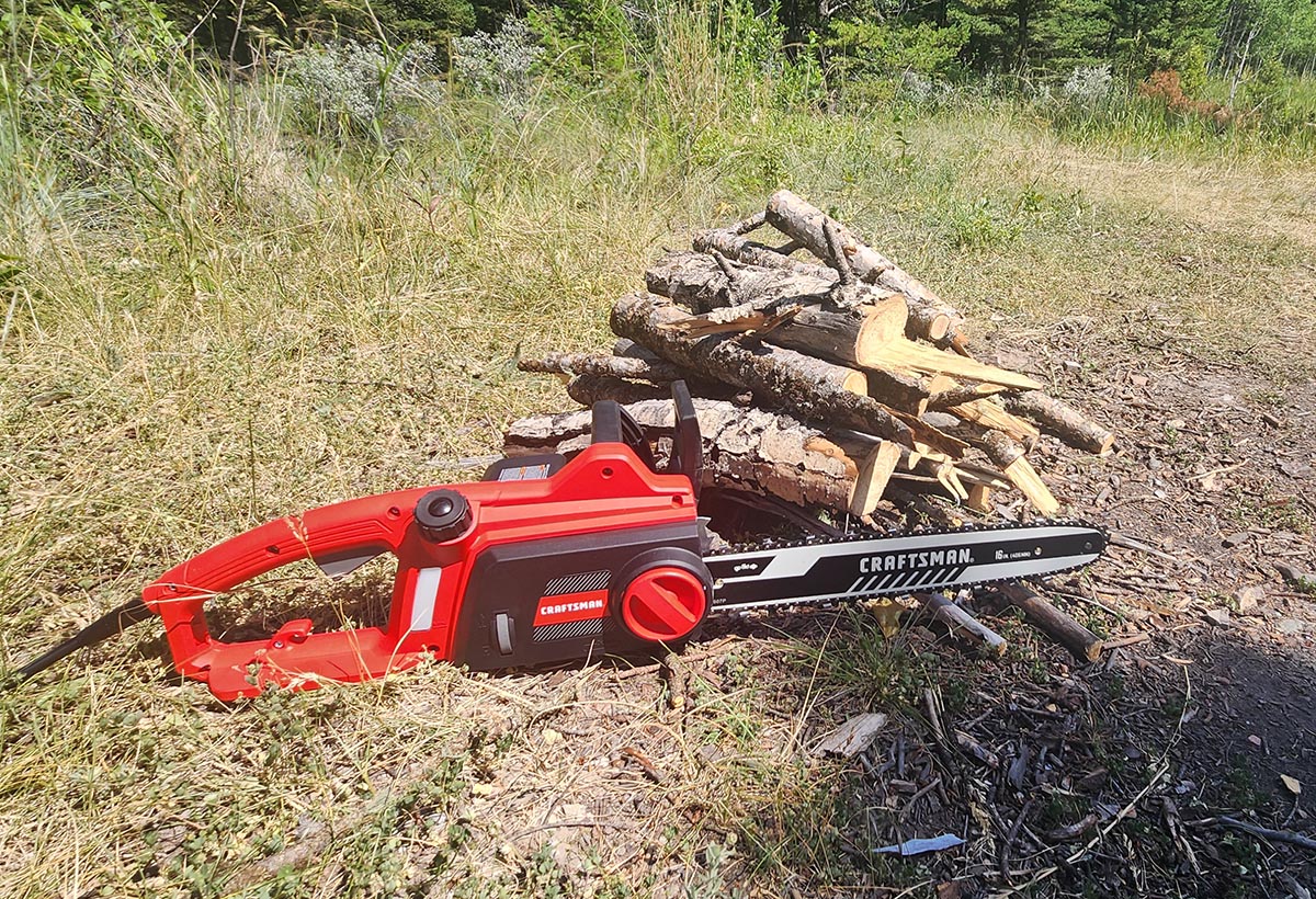 The Best Chainsaw for Backyard Options