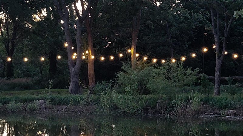 Outdoor String Lights hung on large trees in front of a pond at dusk