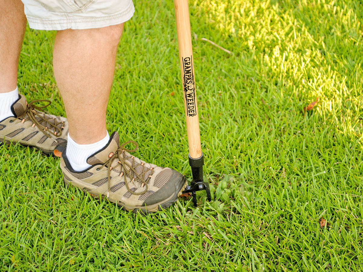 The Best Weeding Tools Options