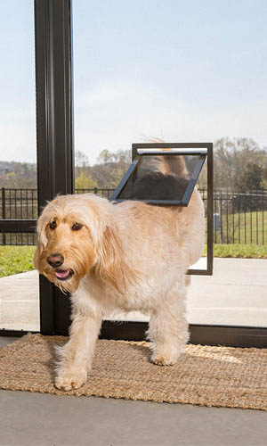 Options For Installing a Pet Door