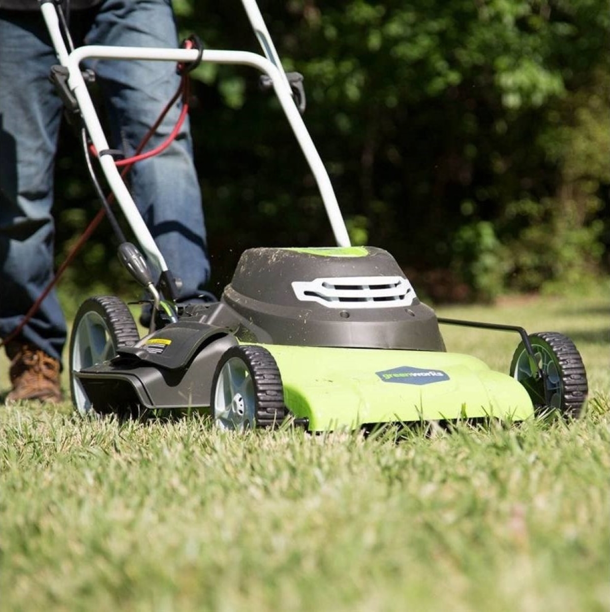 Green dethatcher used on lawn.