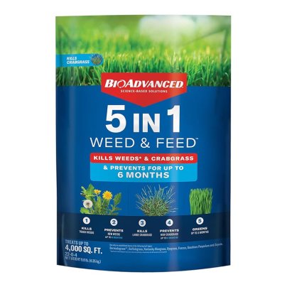 A bag of BioAdvanced 5-in-1 Weed & Feed on a white background.