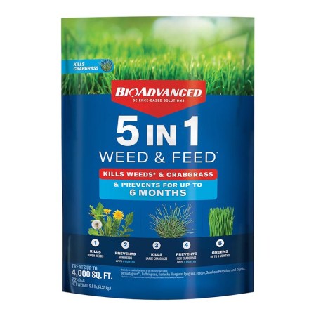  A bag of BioAdvanced 5-in-1 Weed & Feed on a white background.
