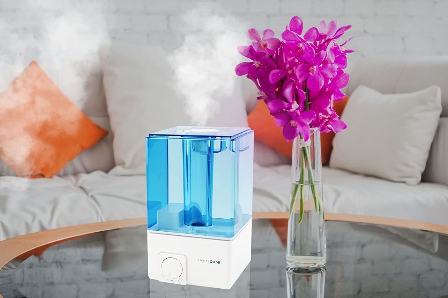 10 Best Room Humidifier Options for Fixing Dry Indoor Air